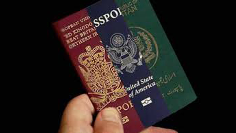 Поправки двойное гражданство. Двойное гражданство. Двойное гражданство в Европе. Лицо с двойным гражданством. Двойное гражданство ограничения.