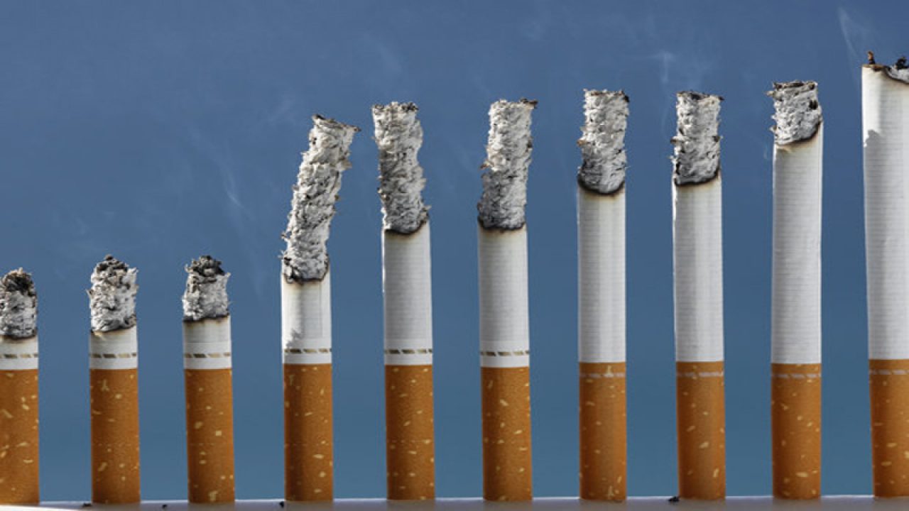 Govt Must Discourage Import Of Cigarettes Ban E Cigarettes