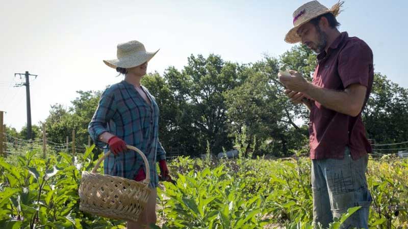 Download French Farm Aims To Grow New Crop Of Farmers Daily Times PSD Mockup Templates