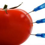 Genetically modified foods harm masses