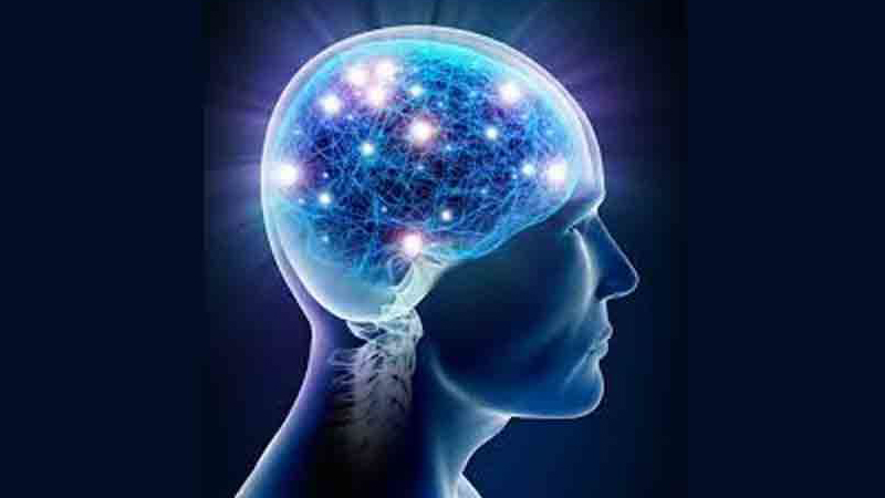 Brainwaves during sleep strengthen memories: Study - Daily Times