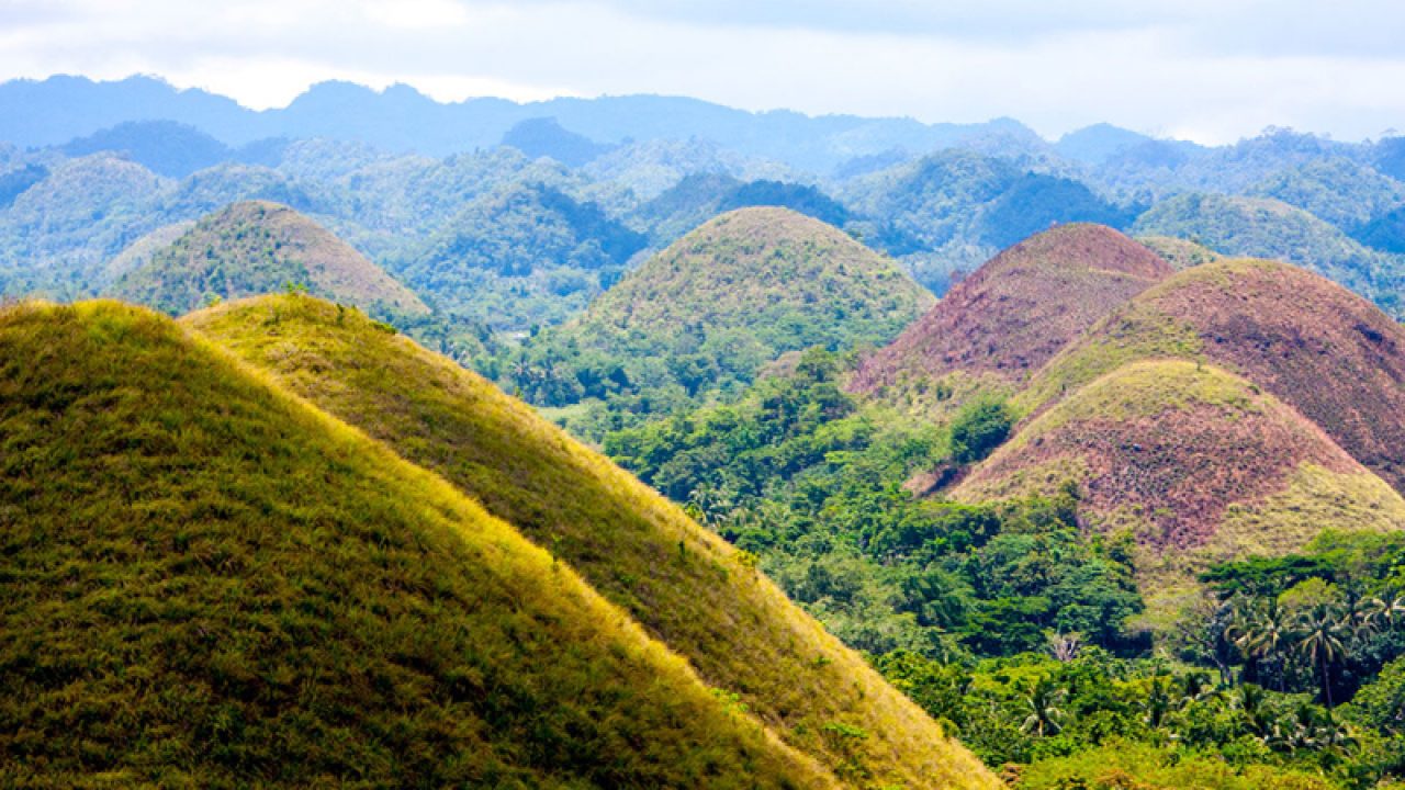 Chocolate Hills's Instagram, Twitter & Facebook on IDCrawl