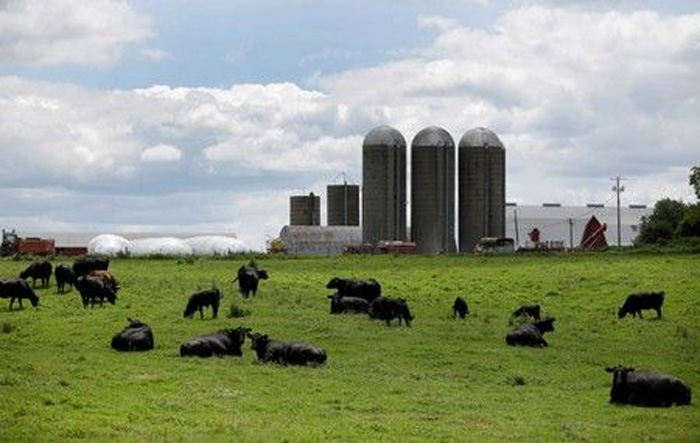 Us Bill Raising Debt Ceiling For Farm Bankruptcies Heads To