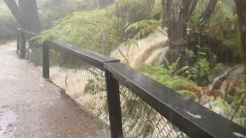 Floods, road closures in Australia as storms lash some bushfire-hit regions