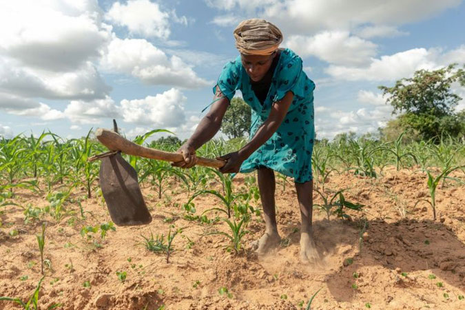 Hunger stalks southern Africa as climate crisis deepens