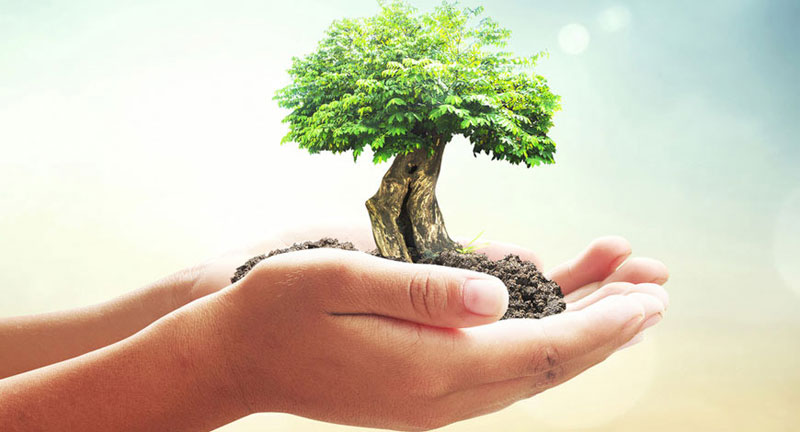 He who plants a tree plants hope: speakers