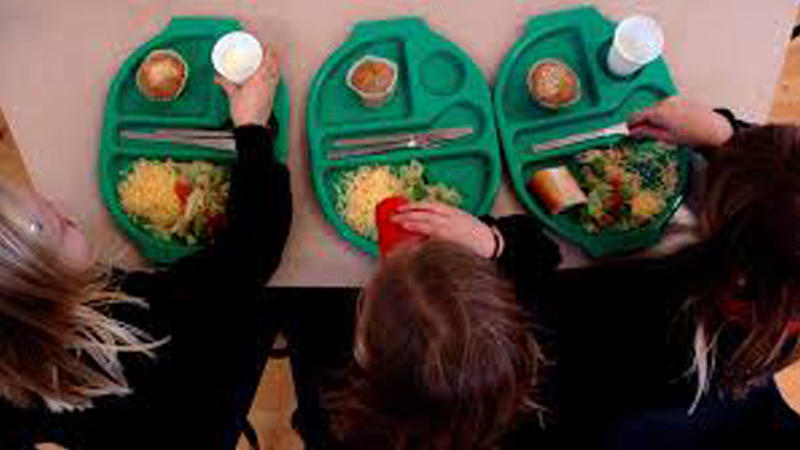 Children open to seeing insect-based meals on school dinner menu, study suggests
