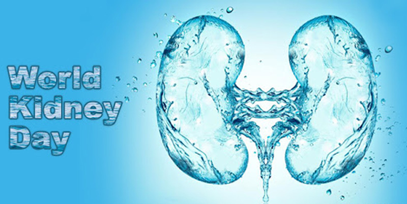 World Kidney Day: need stressed to drink adequate amount of water