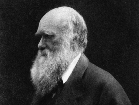 Scientists ‘prove Darwin’s survival of the fittest theory’