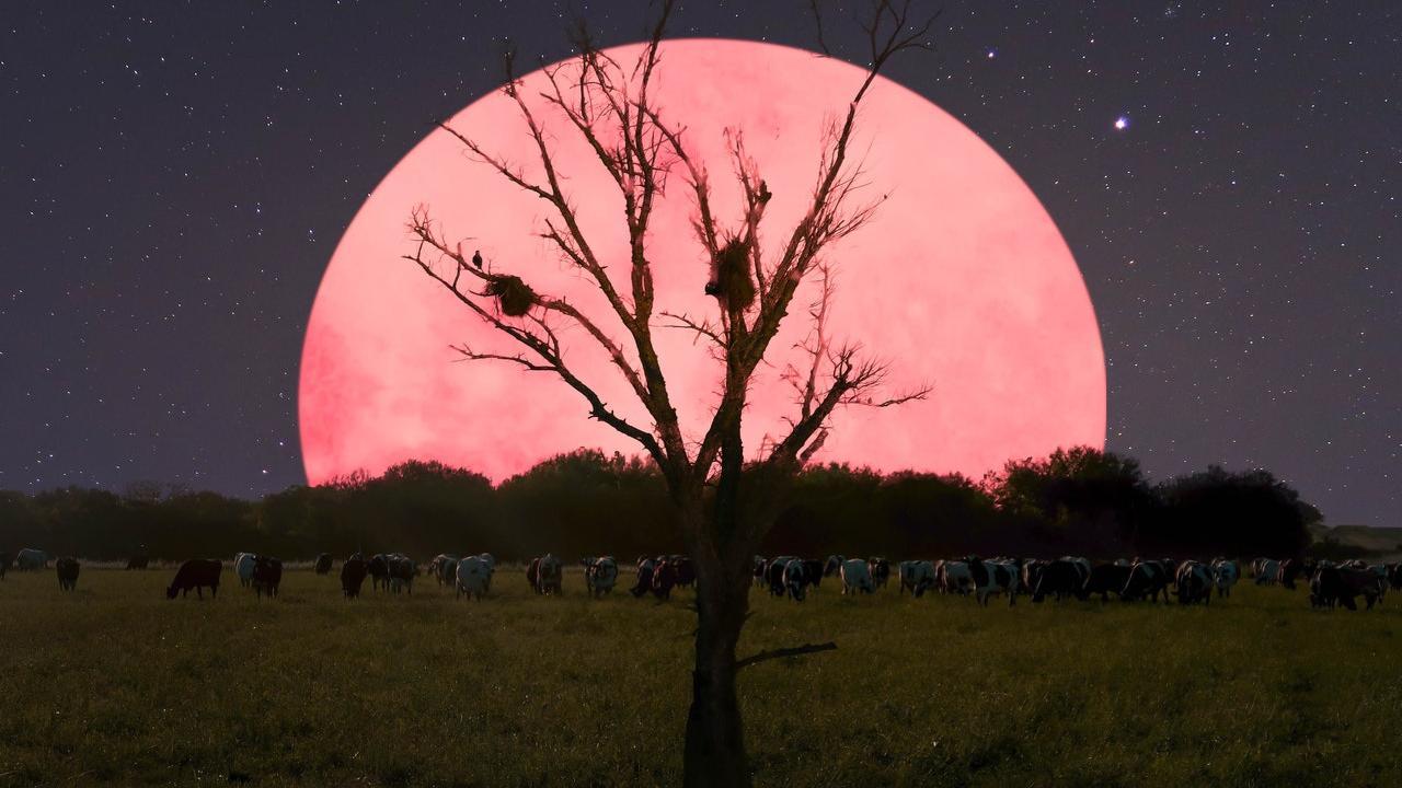 7th April's Super Pink Moon is the biggest full moon of 2020