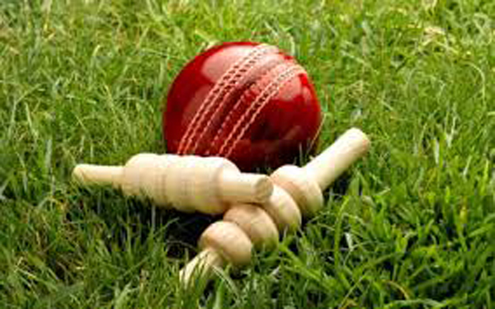 ICC ratifies interim ban on saliva on ball