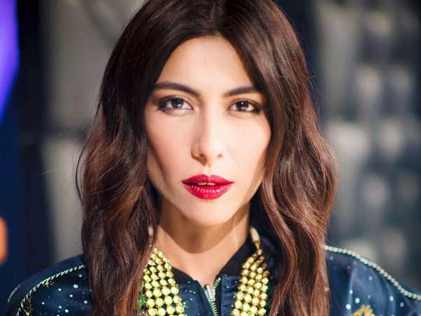 singer meesha shafi faces a worst embarrassing blow 1574255585 2210