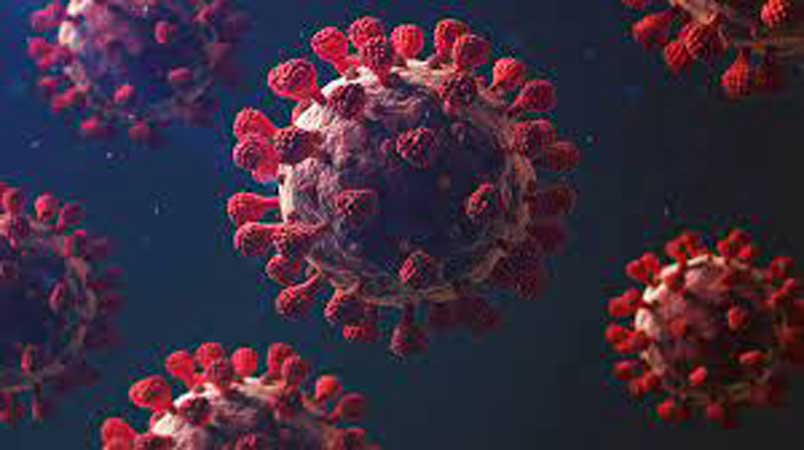 new cases of coronavirus