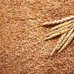 Local wheat stocks recorded at over 5.6m tons