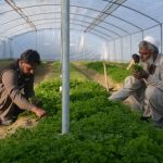 USAID reiterates firm resolve to strengthen Pak-US relations in Agri-research, development
