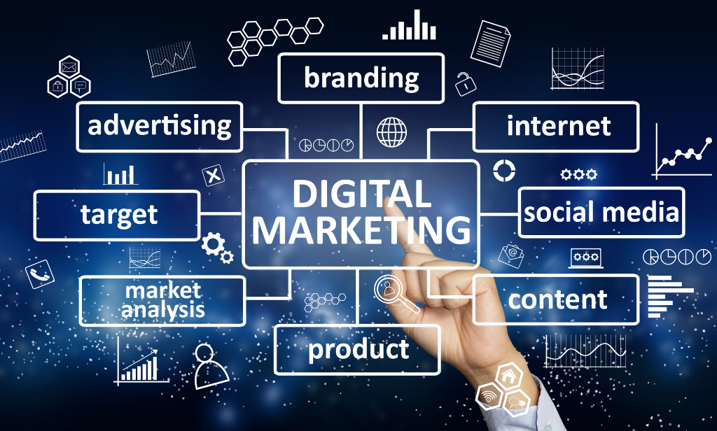 Rapid change and digital marketing skills - Daily Times