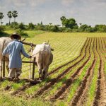 PM Shehbaz Sharif announces relief package for farmers