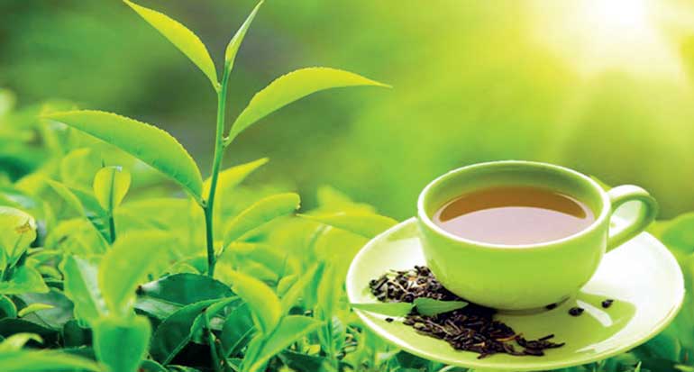 Pakistan's tea imports increase by 2.21% to $192 million during 4MFY23