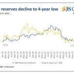 FX reserves lowest since 2019