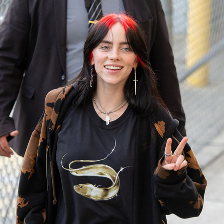 Billie Eilish Shows Off Bold New Red Hair — See the Look!