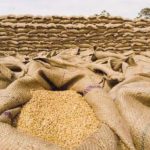 Rice valued $3.282 bln exported