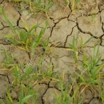 Land degradation: A threat to food security