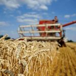Falling wheat prices to hit food security, agri machinery challenges