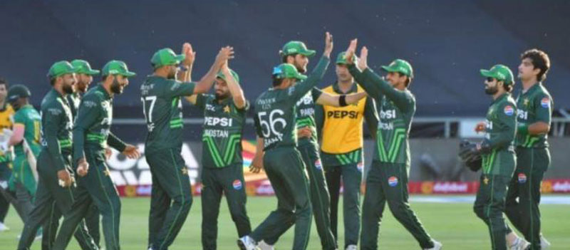 PM Shehbaz, Naqvi hail Men in Green on historic ODI series win against Proteas