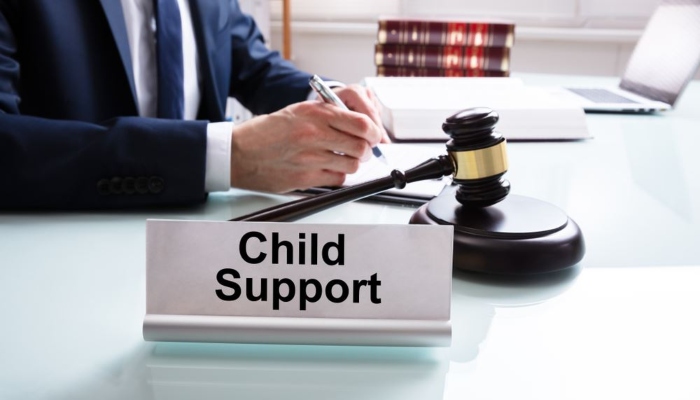Child Support Defaulters