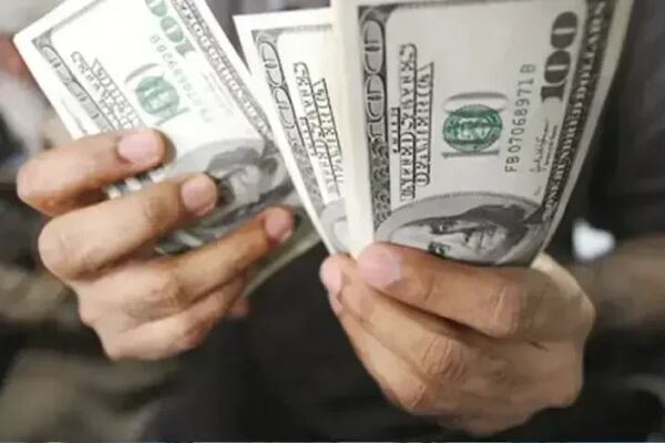 Pakistan hits record $4.3bn remittances