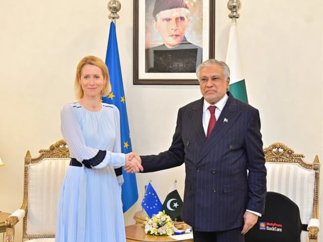 FM Dar, EU’s Kallas back US-Iran talks progress