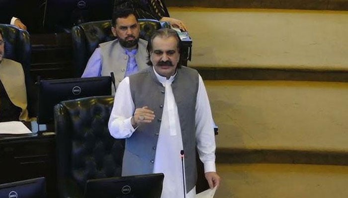 Ali Amin Gandapur