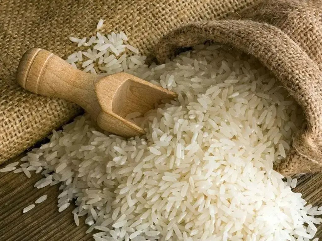 DLTL Extension: A Strategic Step Towards Revitalising Pakistan’s Rice Economy